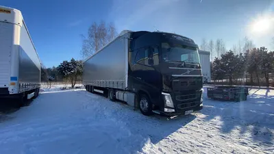 Translam Dawid Lampart